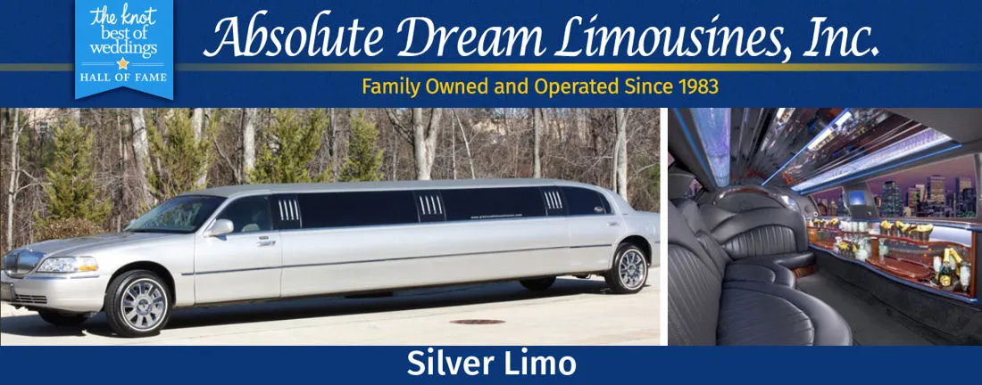 Elegant Silver Limousine